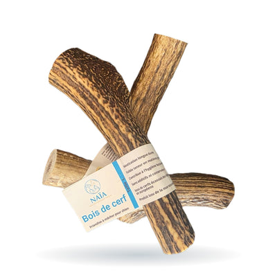 Bois de Cerf Entier | Friandise à mâcher