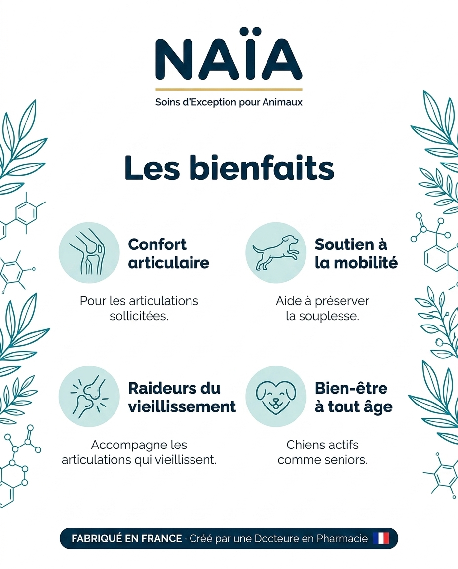 NAÏA Articulations+ bienfaits