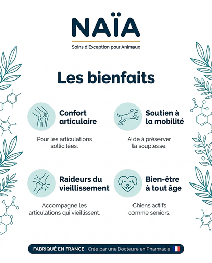 NAÏA Articulations+ bienfaits