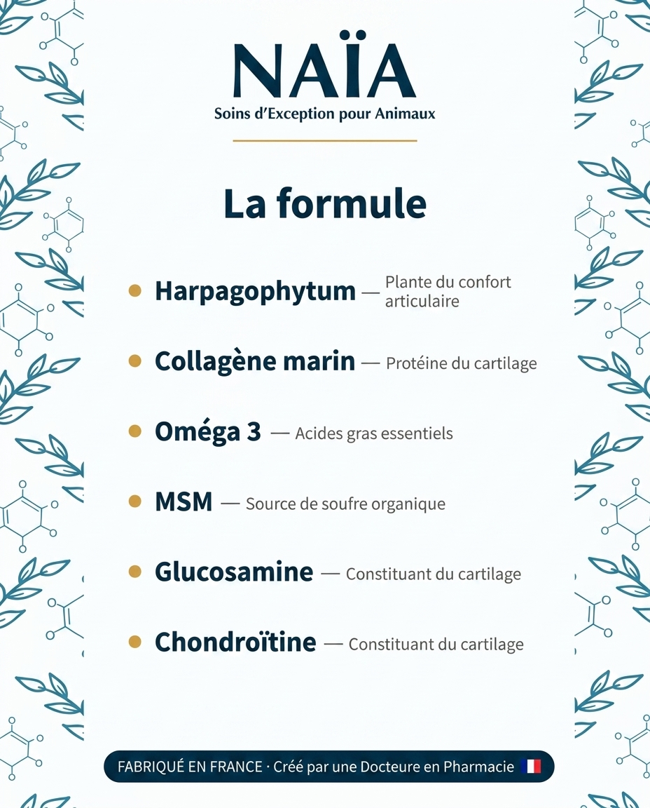 naïa articulations+ formule