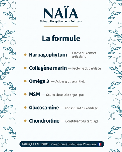 NAÏA Articulations+ formule