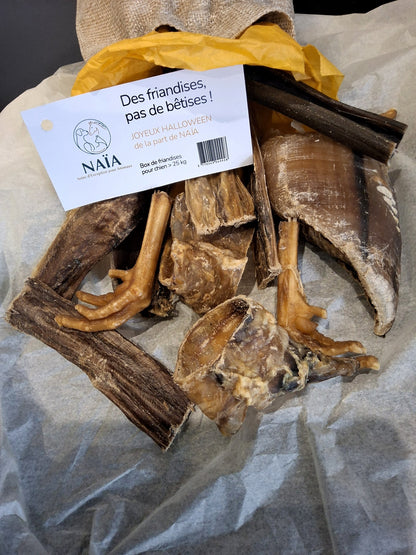 Contenu de la box mastication Halloween grand chien, vue de dessus avec l'étiquette