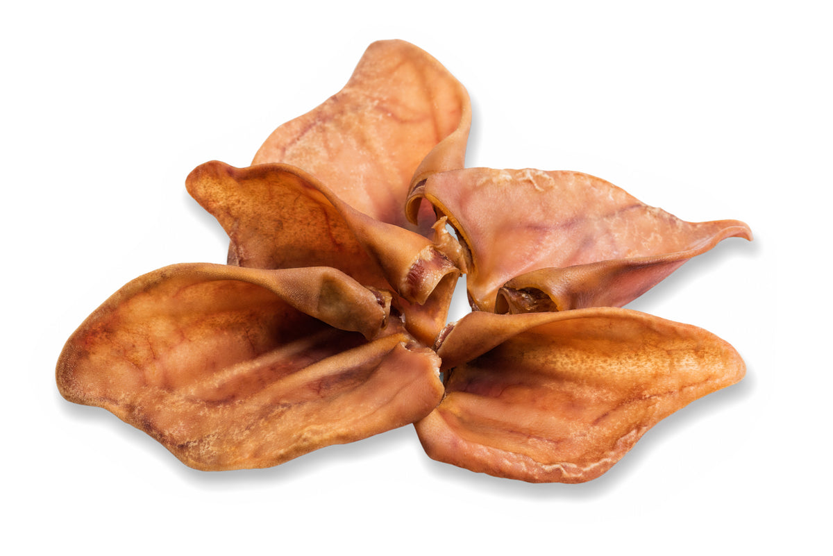 Oreille de cochon séchée taille M — friandise à mâcher pour chien