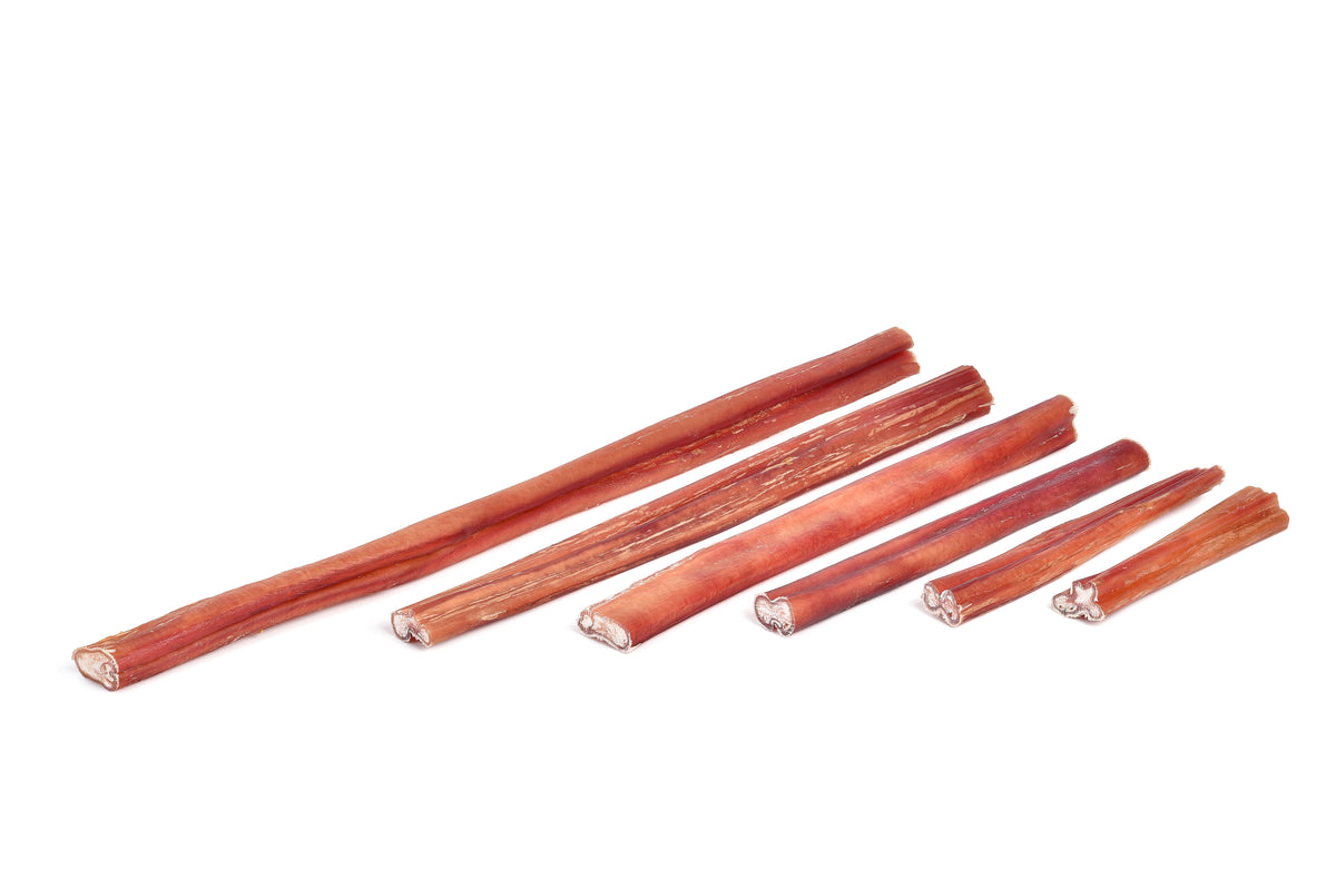 Nerf de bœuf 24 cm — friandise à mâcher longue durée pour chien