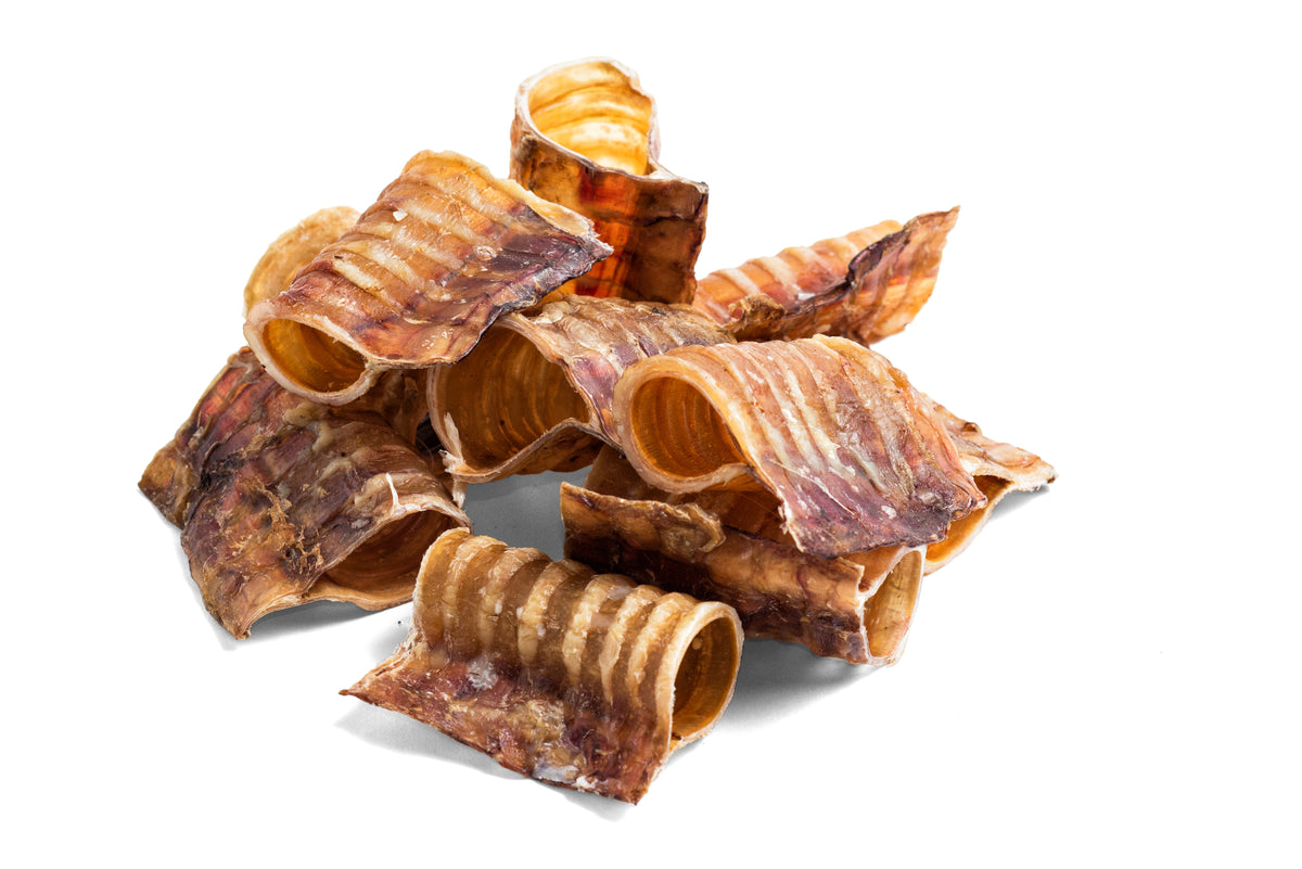 Trachée de bœuf 5 cm — friandise de récompense pour petits chiens