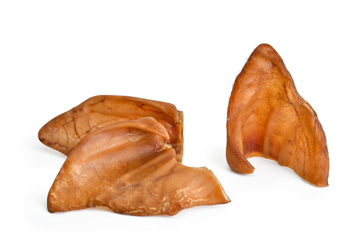 oreille de cochon séchée taille l — friandise à mâcher pour chien