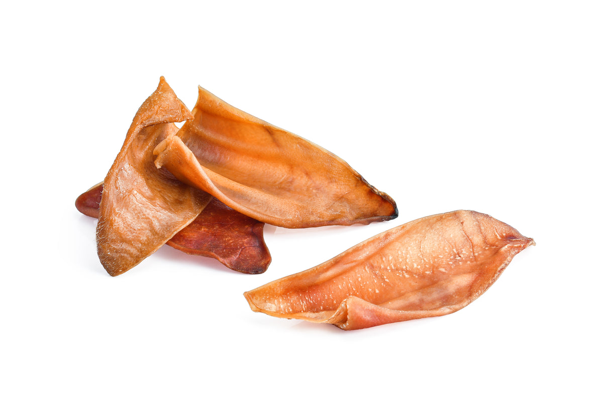 demi-oreille de cochon séchée — friandise à mâcher pour petits chiens et chiots