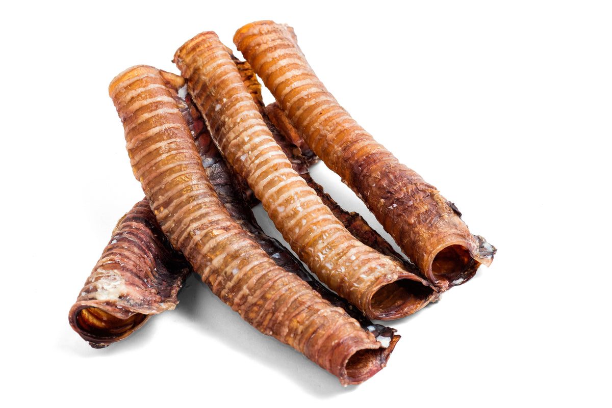 Trachée de bœuf 30 cm — friandise riche en chondroïtine pour chien