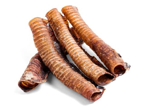 Trachée de bœuf 30 cm — friandise riche en chondroïtine pour chien