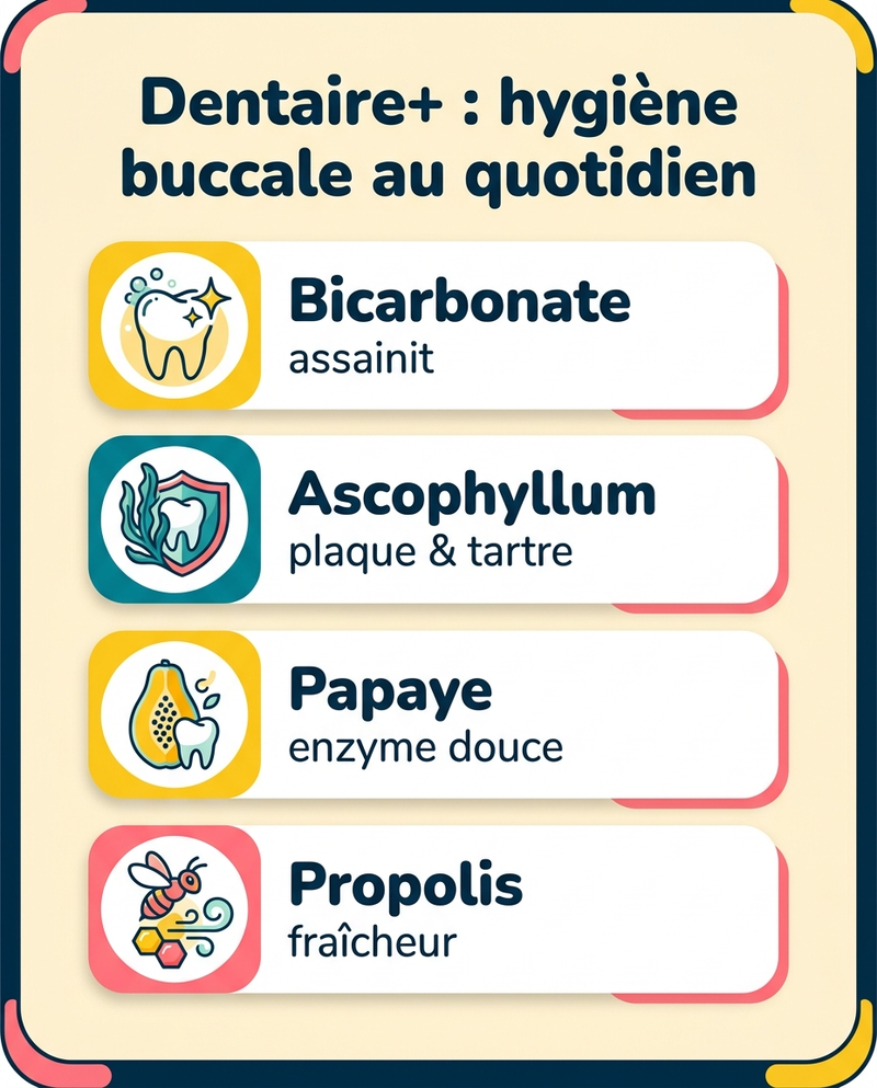 Une bouche saine, sans bataille au brossage