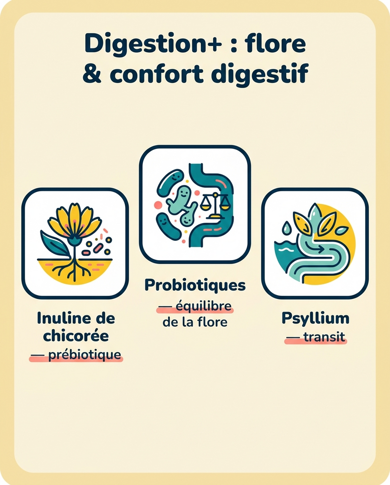 Un intestin équilibré, un animal qui va mieux
