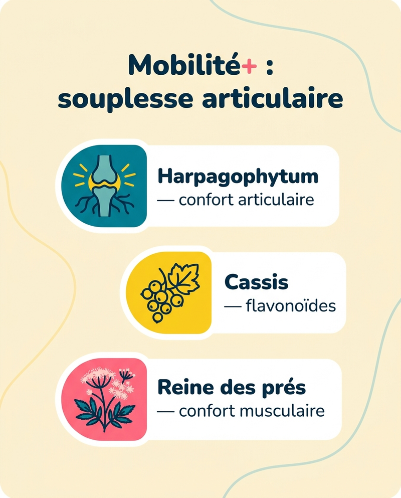 Retrouver de la souplesse, jour après jour