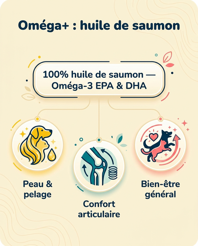 L'essentiel vient de la mer