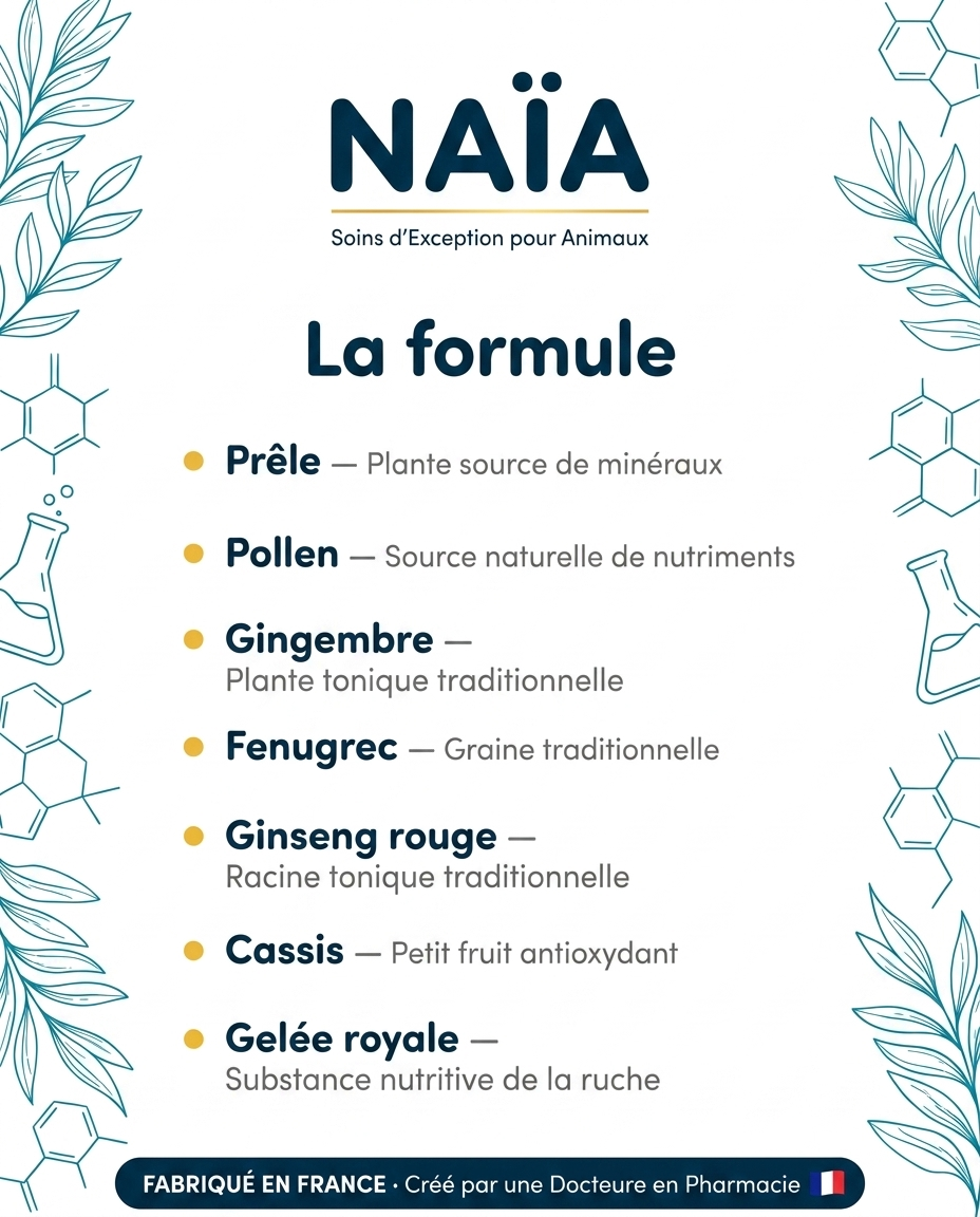 naïa vitalité+ formule