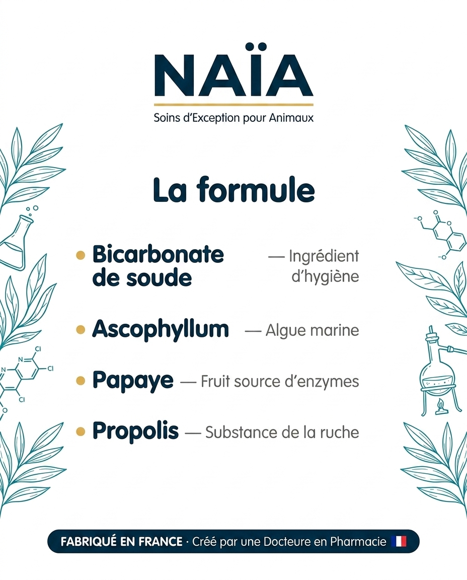 NAÏA Dentaire+ formule