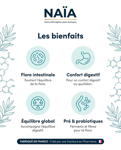NAÏA Digestion+ bienfaits