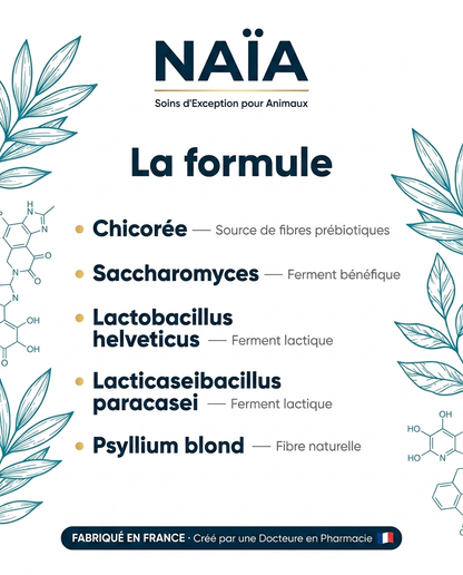NAÏA Digestion+ formule