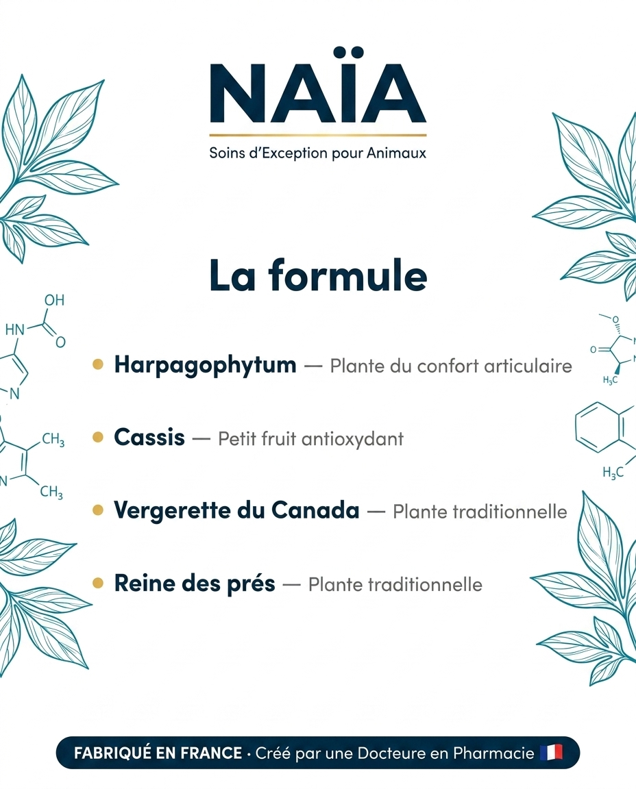NAÏA Mobilité+ formule