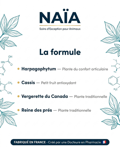 NAÏA Mobilité+ formule