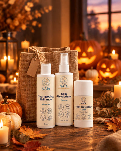 Coffret Frisson d'automne NAÏA dans son sac en jute, sur une table décorée pour Halloween avec citrouilles et bougies