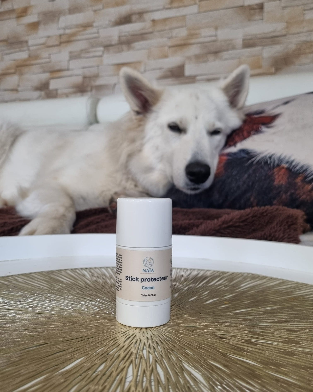 Stick protecteur Cocon NAÏA devant un chien blanc couché sur le canapé